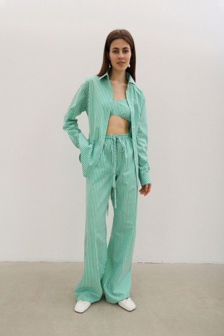 Штані у зелену смужку 38113811 купить